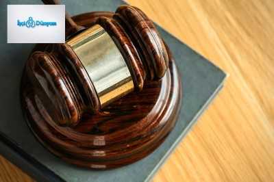 kahverengi adalet tokmağı