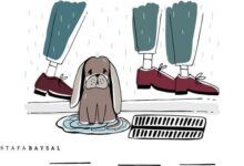 belediye sokak köpekleri toplama barınak