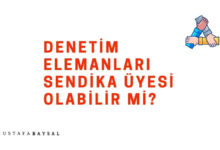 kamu denetim elemanları sendika üyeliği